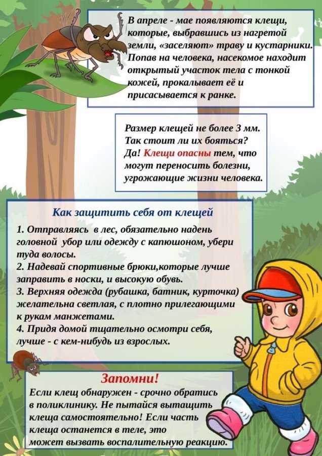 Внимание, клещи!