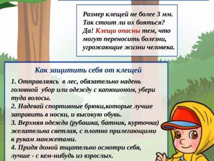 Внимание, клещи!